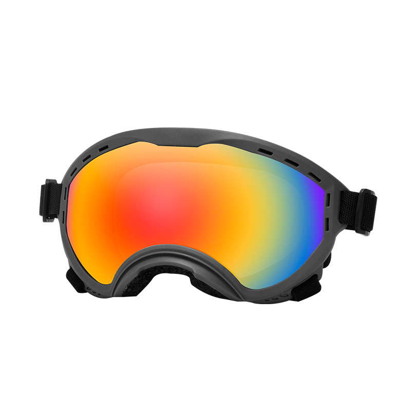 Haustier-Schutzbrille, Wind-,  – Travel Accessories Ideas Bewertung und Preis